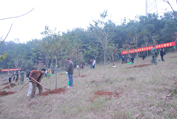 �V���֘I�نT���Mُ�I����ֲ��