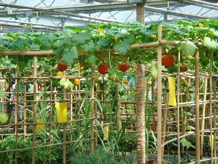 ���ܴ��^�@