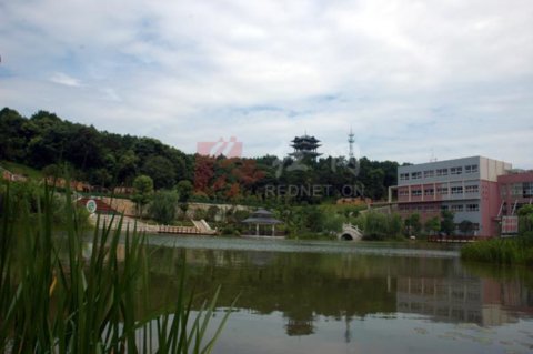 (Lɳhɳ@Сz200975ա)