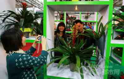 ǰ�텢�^�������ڻ�������Ӱ��