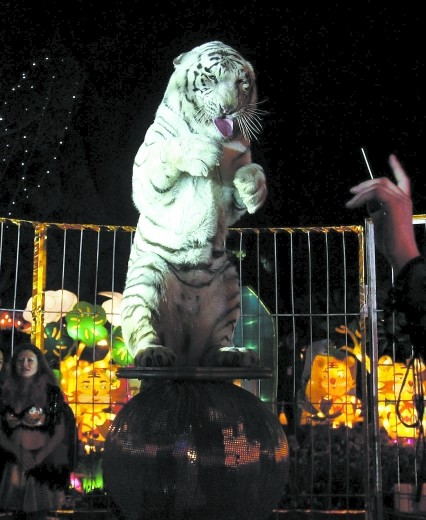 �ɶ���R��������_�R