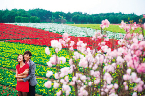 �V�ݣ��k���߲ʙѻ� ���ʰ��ꡰ���ˡ�