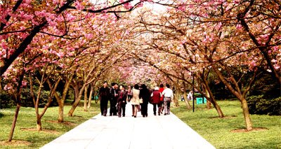 �ؑc�����F(tu��n)�\�� ��ɽֲ��@�Ƴ�110���p�����