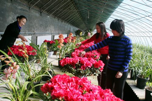 �������ĺ���ļ��r��ʢ�_ �������䌍���ļ�������