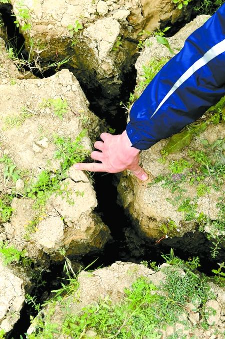 3��16�գ��V���|�m�h����ˮ��(k��)��(k��)�������򺵳��F(xi��n)��10�������ҵ��ѿp��