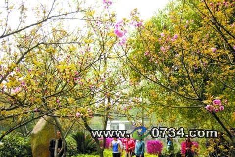  �������������˻�����