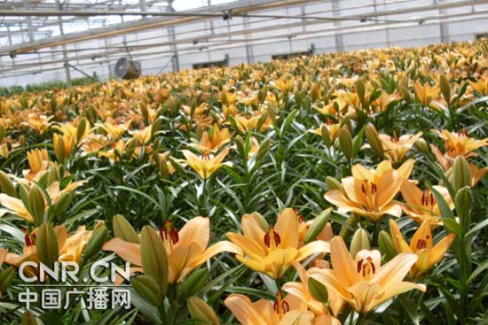 Hrیek(ni)Ҏ(gu)ģĻ(ji)