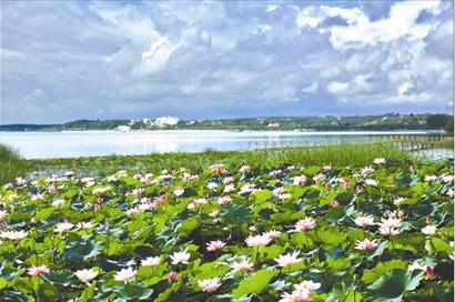 �D�ģ��@�ֳ��� ��̼���(hu��)