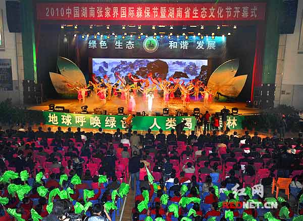 ҽ硿2010ҽHɭߺBĻ_Ļ(D)