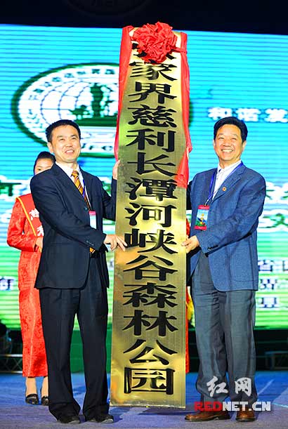 ҽ硿2010ҽHɭߺBĻ_Ļ(D)