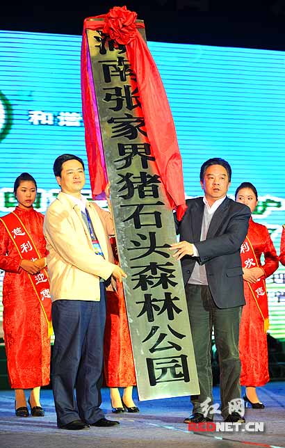 ҽ硿2010ҽHɭߺBĻ_Ļ(D)