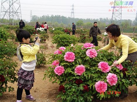 SĵMʢλںʝϾ·Ĳĵ@ÿ춼ǧЃοһλԝϵοf@ǵˁĵ@ĵ@LҊľGĵĵĵ