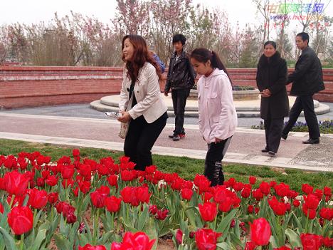 425գĵ@ȵ@mձѻõʸ܇r˵ʢ_ӭe˲ο^⡣Dο^pm 