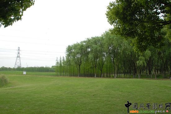 ��ɽɭ�ֹ��@