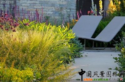 最佳展園??每日電訊園（The Daily Telegraph）