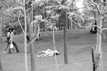 ݵĲƺgcyfɶֻܿܲfNֲĲƺͲ̤̫󣬲_