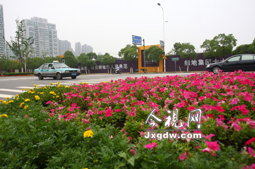 ϲtȞG O(sh)۶߅B(ti)G