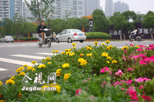 ϲtȞG O(sh)۶߅B(ti)G