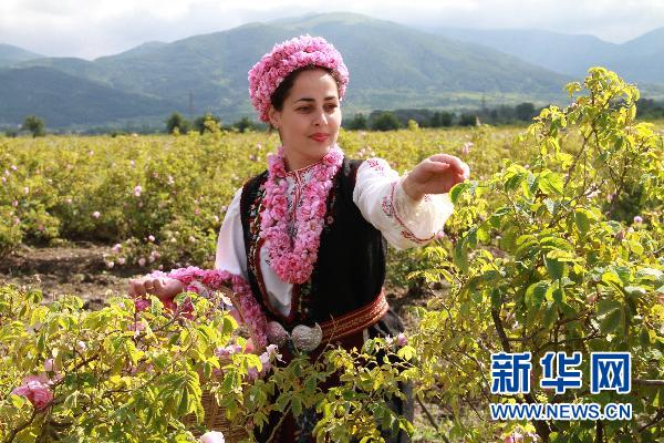 保加利亞：卡贊勒克花農歡慶玫瑰節