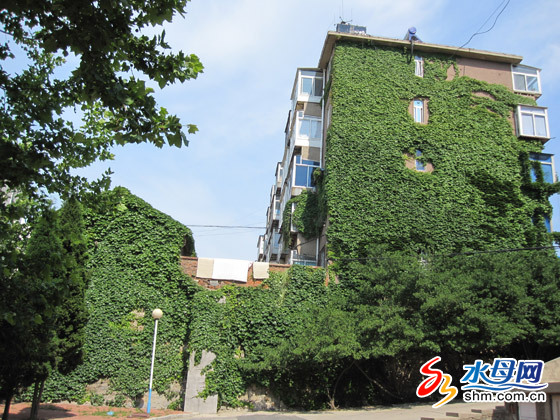 _(ti)ǷGױ ӭ(yng)ŭţD