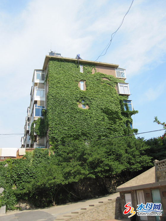 _(ti)ǷGױ ӭ(yng)ŭţD