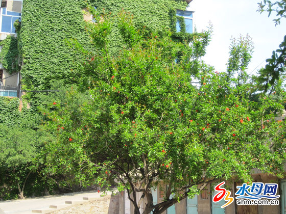 _(ti)ǷGױ ӭ(yng)ŭţD