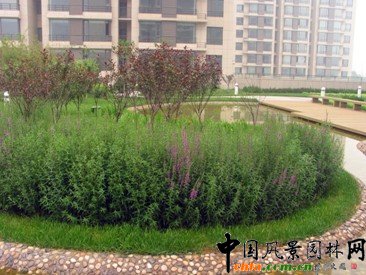 公安部廣渠門住宅小區施工前與竣工后對比