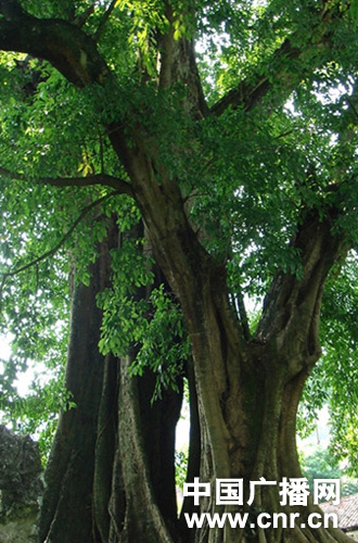 F󲨬FǧŘȺ Ԙ顰ý