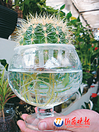 ��ˮ�����������Ҋ�^�᣿��