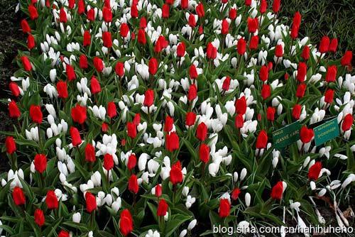 籭֮ĺm I(lng)L(fng)