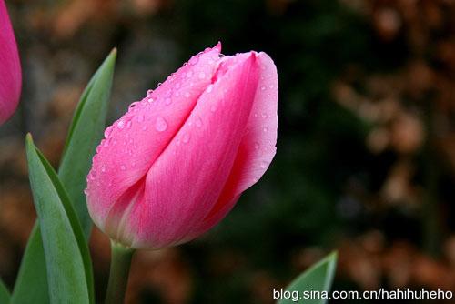 籭֮ĺm I(lng)L(fng)