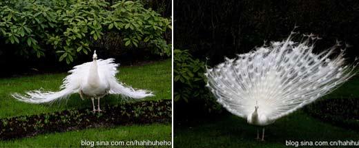 籭֮ĺm I(lng)L(fng)