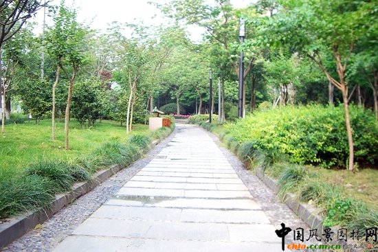 �����\�����ǅ^5A�����^��������