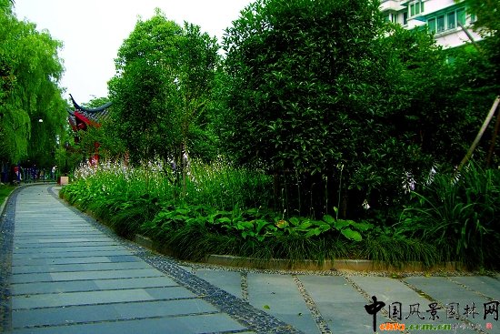 �����\�����ǅ^5A�����^��������