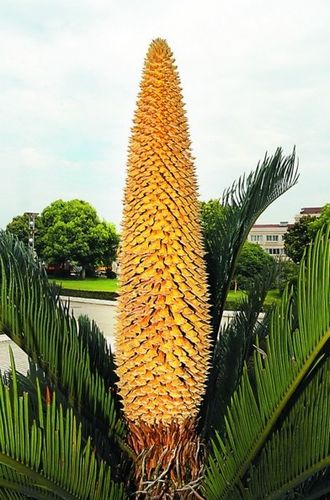 ���K��̫�}(c��ng)һ�F���_(k��i)��������_(d��)82���� �����@�@