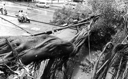 ݣһ(chng)ꡰٚqŘ(sh)