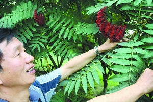 ���(l��i)���֘�(sh��)�N���þ�� �ÿ��Ļ���(sh��)��(sh��)���������