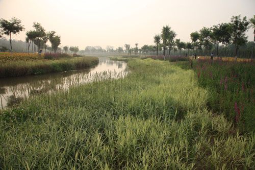 �c�����´��ڞg�[�DƬ