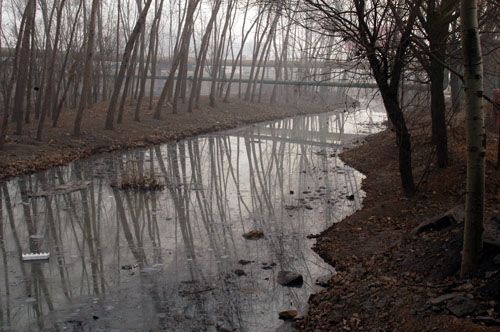 �c�����´��ڞg�[�DƬ