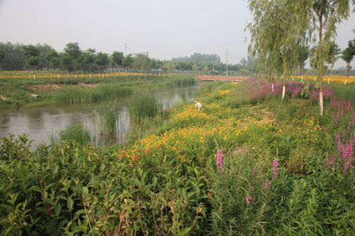 �c�����´��ڞg�[�DƬ