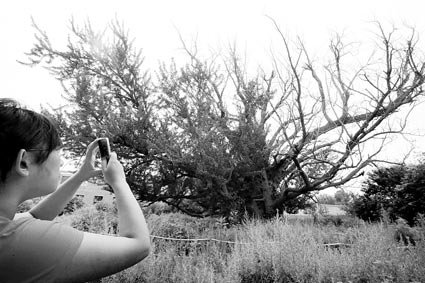 ����ǧ���y�����ݵȾ��t(y��) �l(f��)�����겡��δ��(�D)