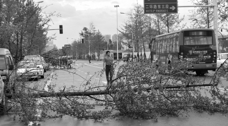 ɶһҹL(fng)ꡰŪ40е