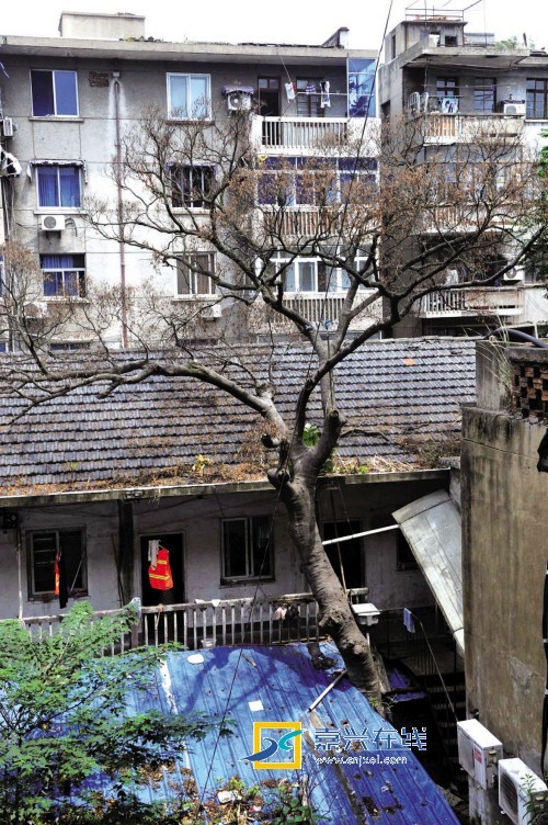 㽭dƽŪ(sh)һ(xin) ˂ڴEF(xin)