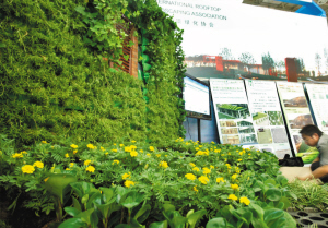 죬2010򣨇HЈ@־^GOӋOʩչ[ڱЇչ_Ļ