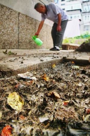 \ݣx(zhn)һܡ@֡(zhn)KY(ji)