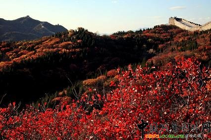 _(d)Xɭֹ@Čüt~(ji)_Ļ