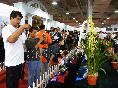 19Һ͵؅^(q)Fmɽ|̩ɽ