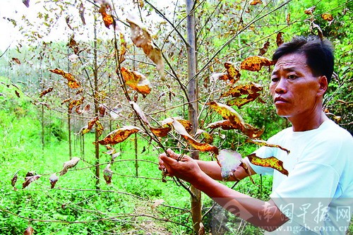 ό^һƬĪ"ȾS"ҷQЂȾ