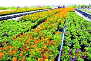 ̽؁\rNֲ һ400໨rȫź