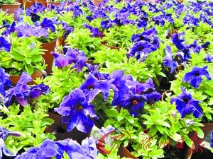 ̽؁\rNֲ һ400໨rȫź